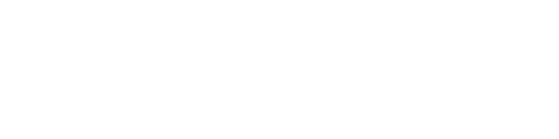 Anamorphic Lenses